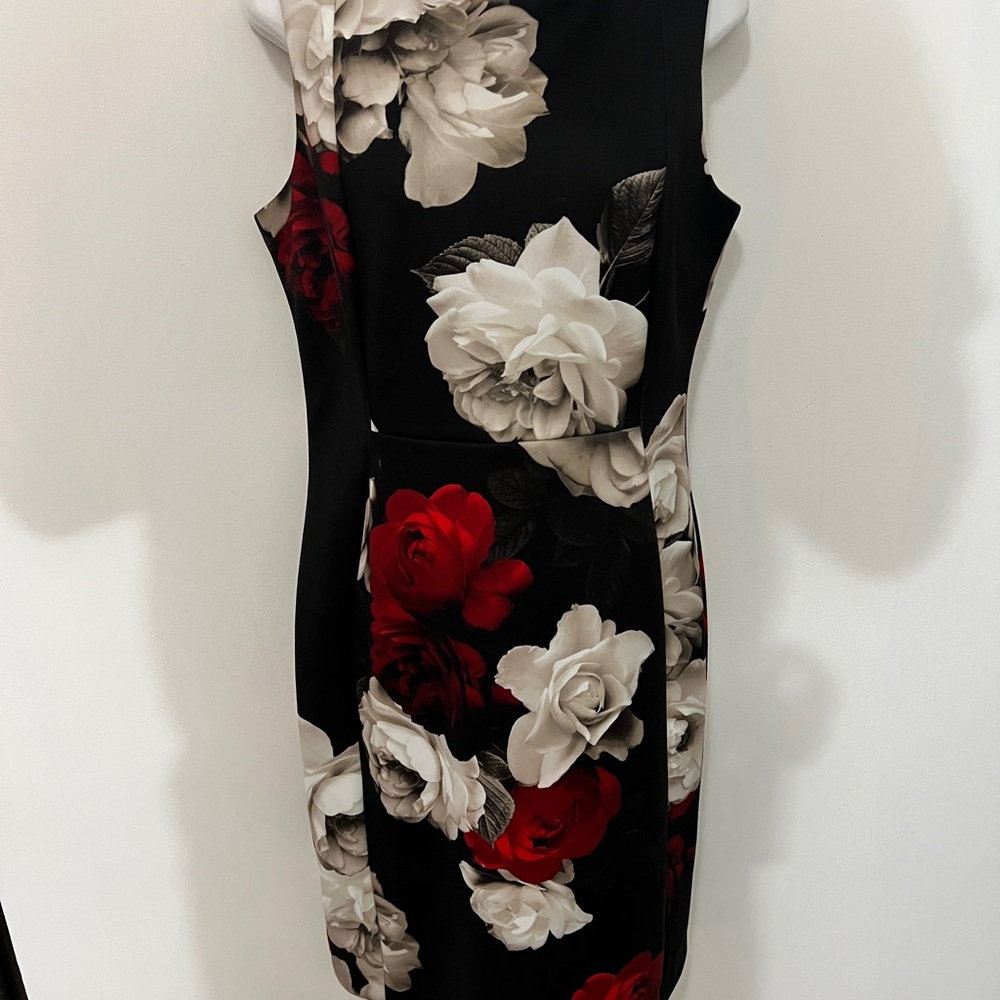 Calvin Klein Red and Cream Sheath Mini Dress Mock Neck Sleeveless